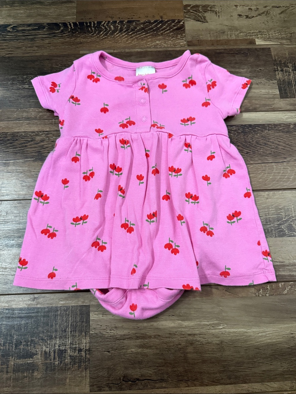 Hanna Andersson Pink Dress with Red Floral Print